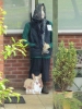 25 Scarecrow 2011_tn