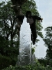 54 Scarecrow 2011_tn