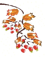 Rosehips_wr02