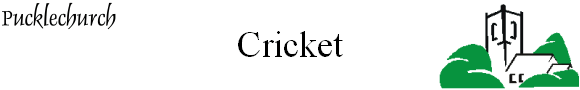 Cricket