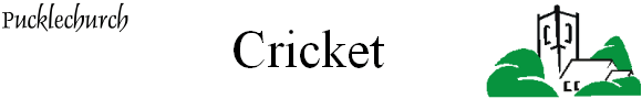                  Cricket