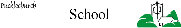                   School