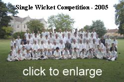 cricket single wicket_sm