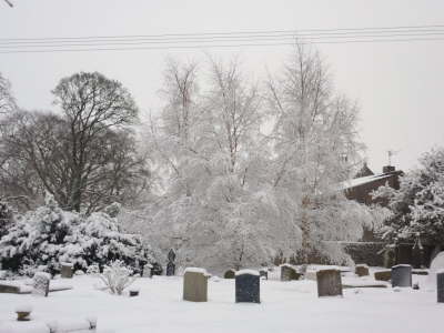 Church yard trees