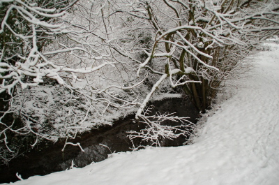 winter 2010 Feltham Brook